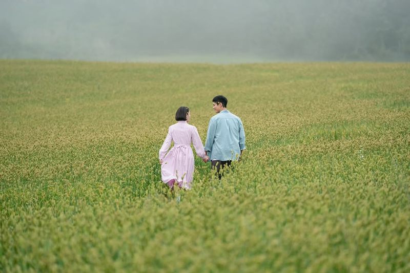 甜到头的情话—那些让人心头一暖的浪漫告白