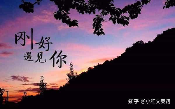 心海中的星辰，照亮我的夜