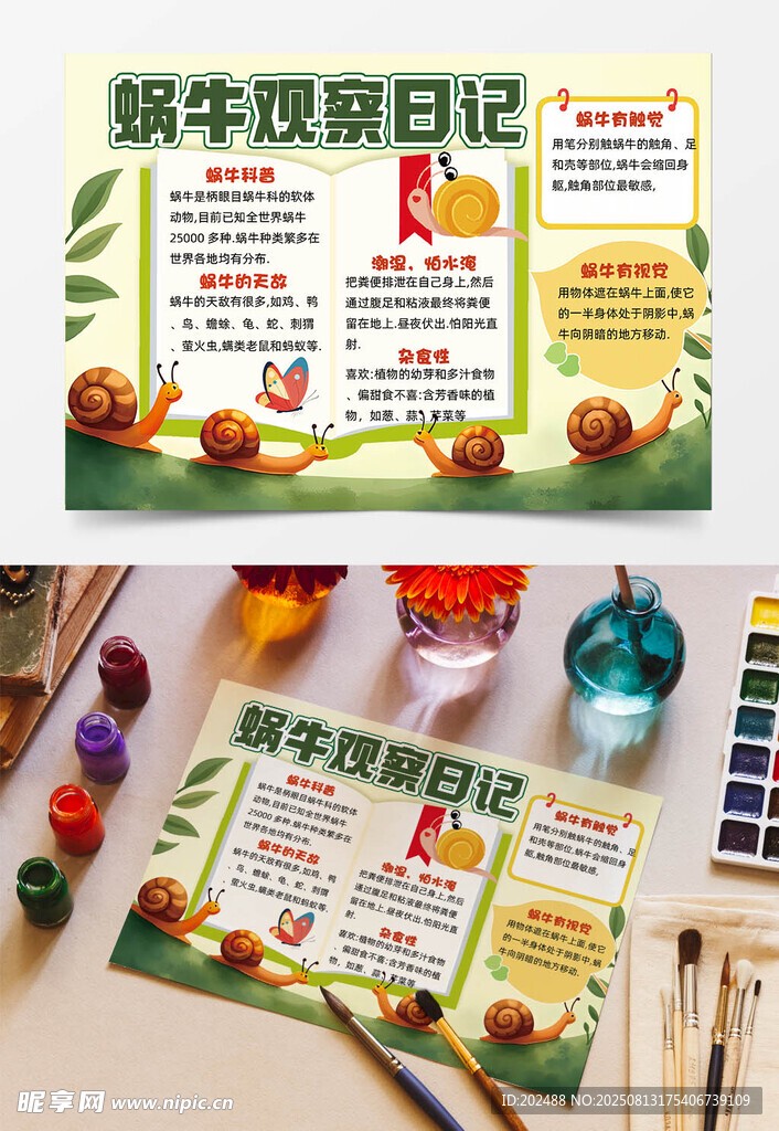 蜗牛日记—慢下来的日子 蜗牛日记—慢下来的日子