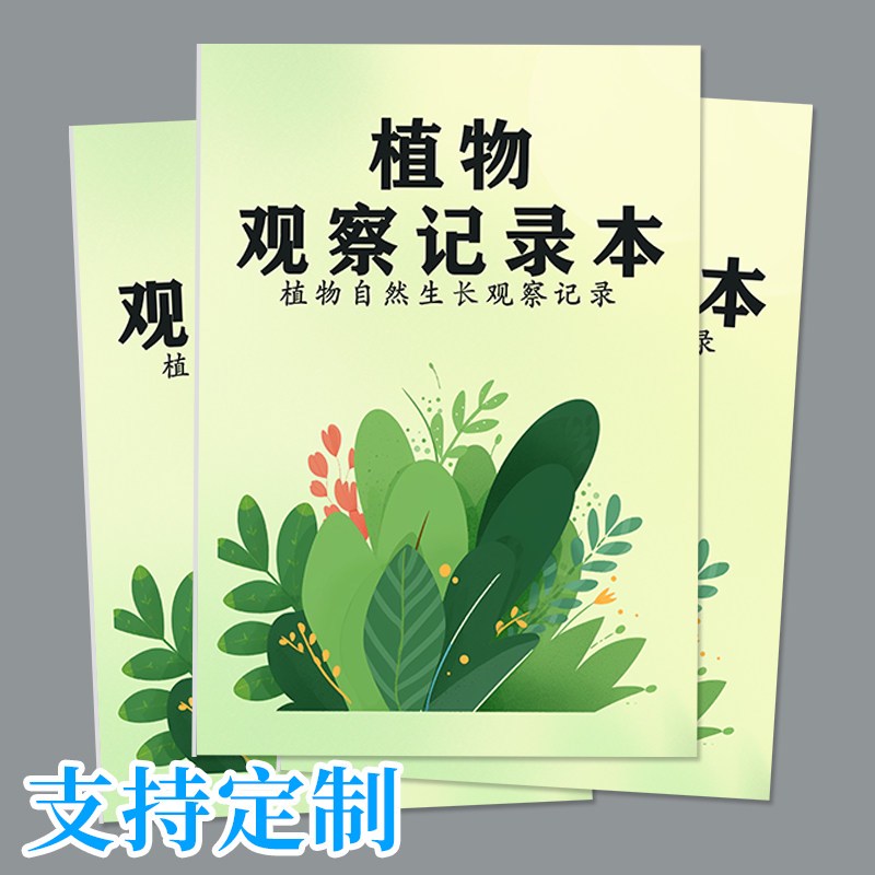 窗台上的生命奇迹 窗台上的生命奇迹