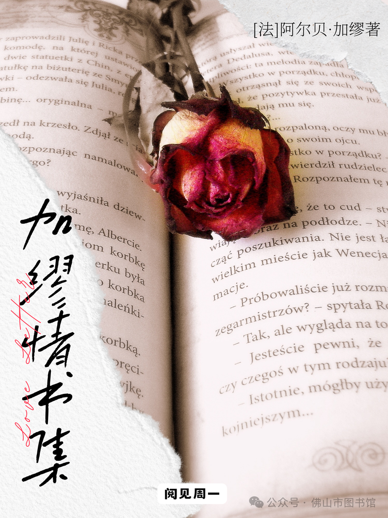 玫瑰的浪漫密码 玫瑰的浪漫密码