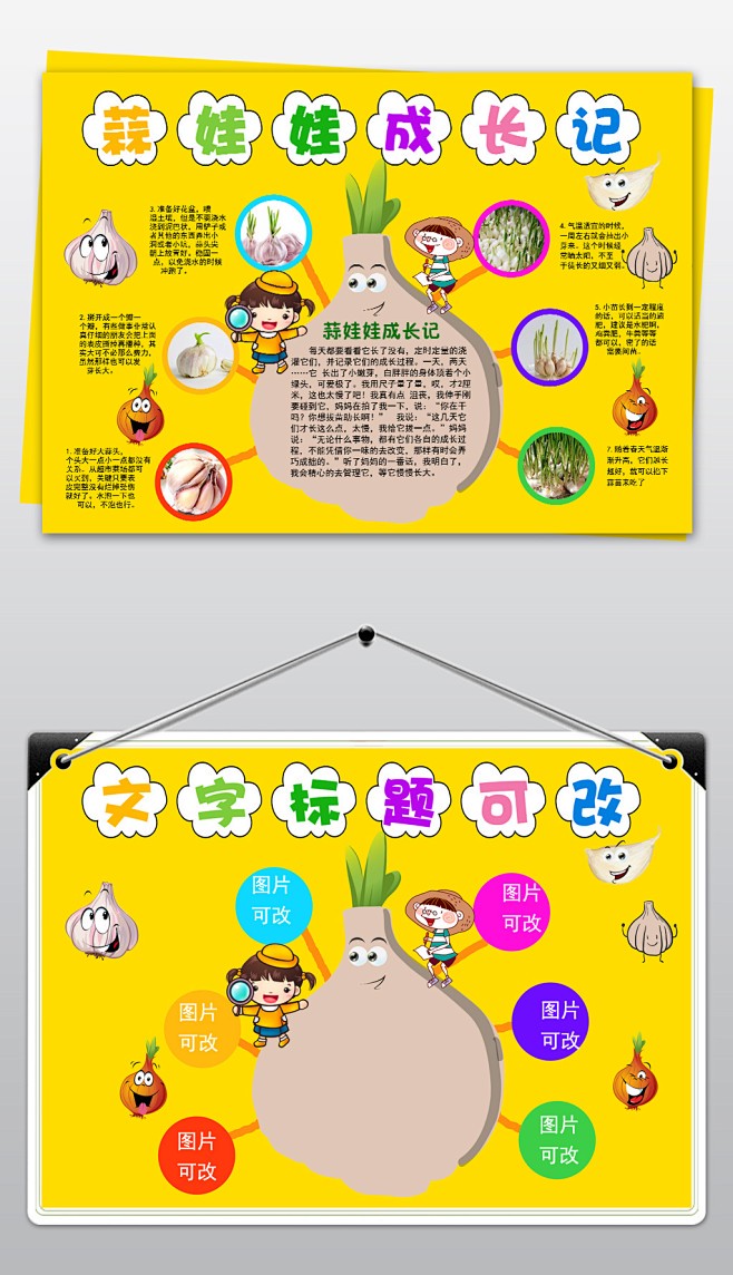蒜苗生长日记:从种子到绿意盎然 蒜苗生长日记:从种子到绿意盎然