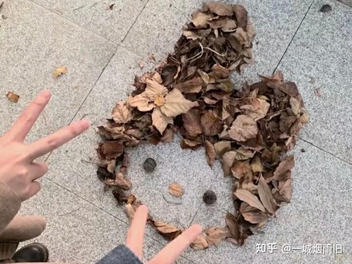 午后阳光下的回忆