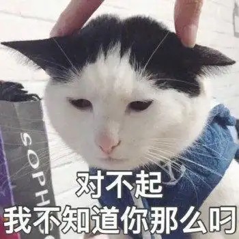 在星空下轻声道歉