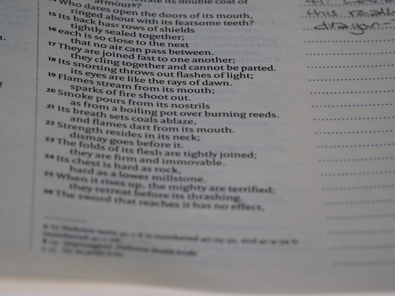 日记里的英语时光 日记里的英语时光