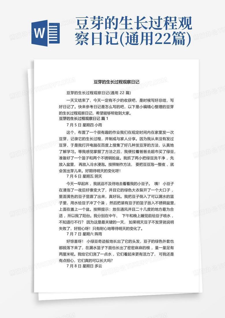 豆芽日记·从发芽到发霉的三天