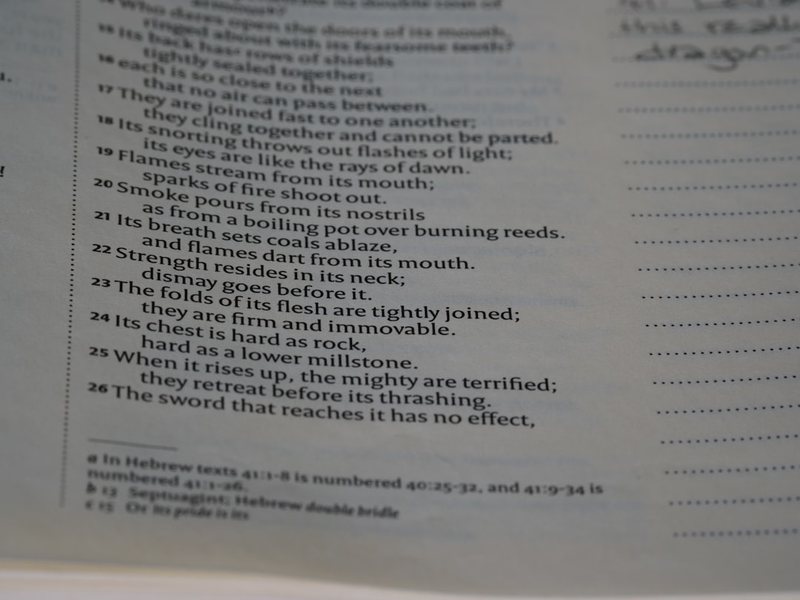 雨天的课间十分钟