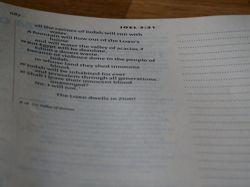 今天我学会了乘法