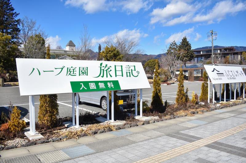 【花园日记—被蚊子咬了一口后的修整与感悟】