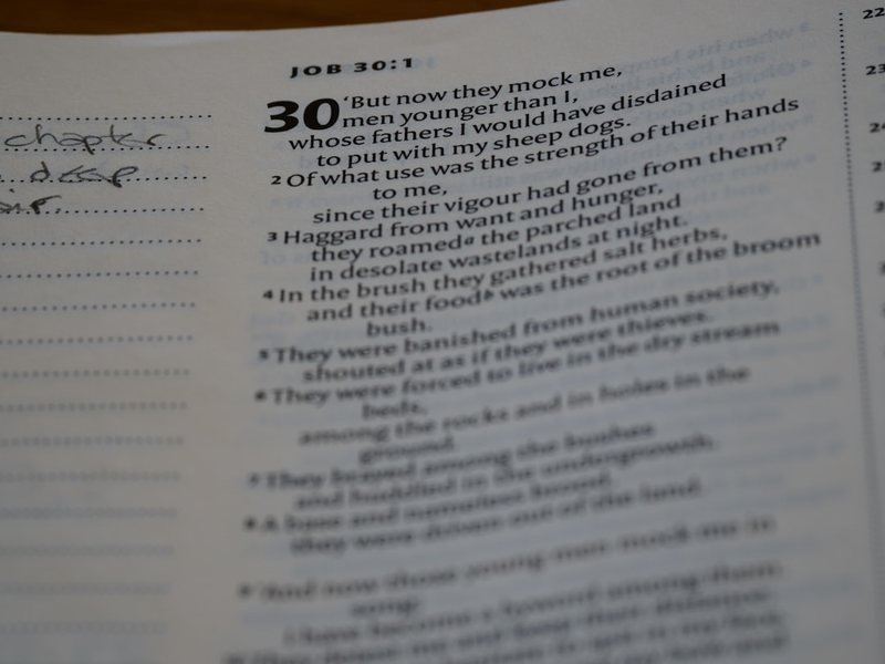 小区花园的奇妙发现…