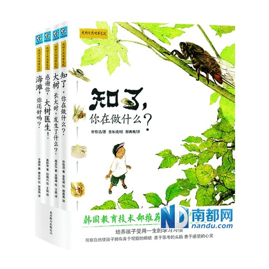 晨曦中的森林探秘？