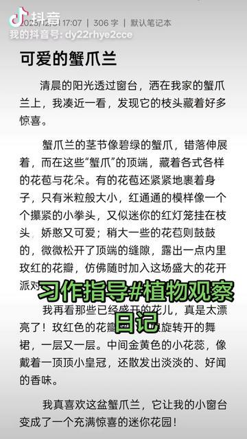 雨后的绿意盎然