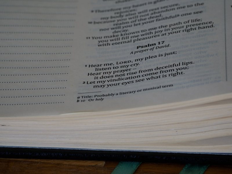 窗外那片悠悠云海 窗外那片悠悠云海