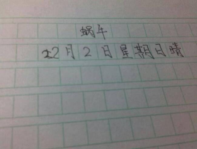 二年级的雪天日记：堆雪人与滑冰的快乐