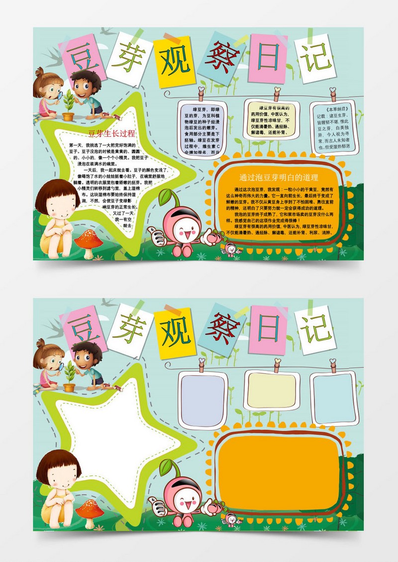 豆芽生长记·从种子到嫩芽的奇妙旅程