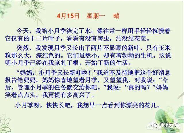 日记本里的时光碎片