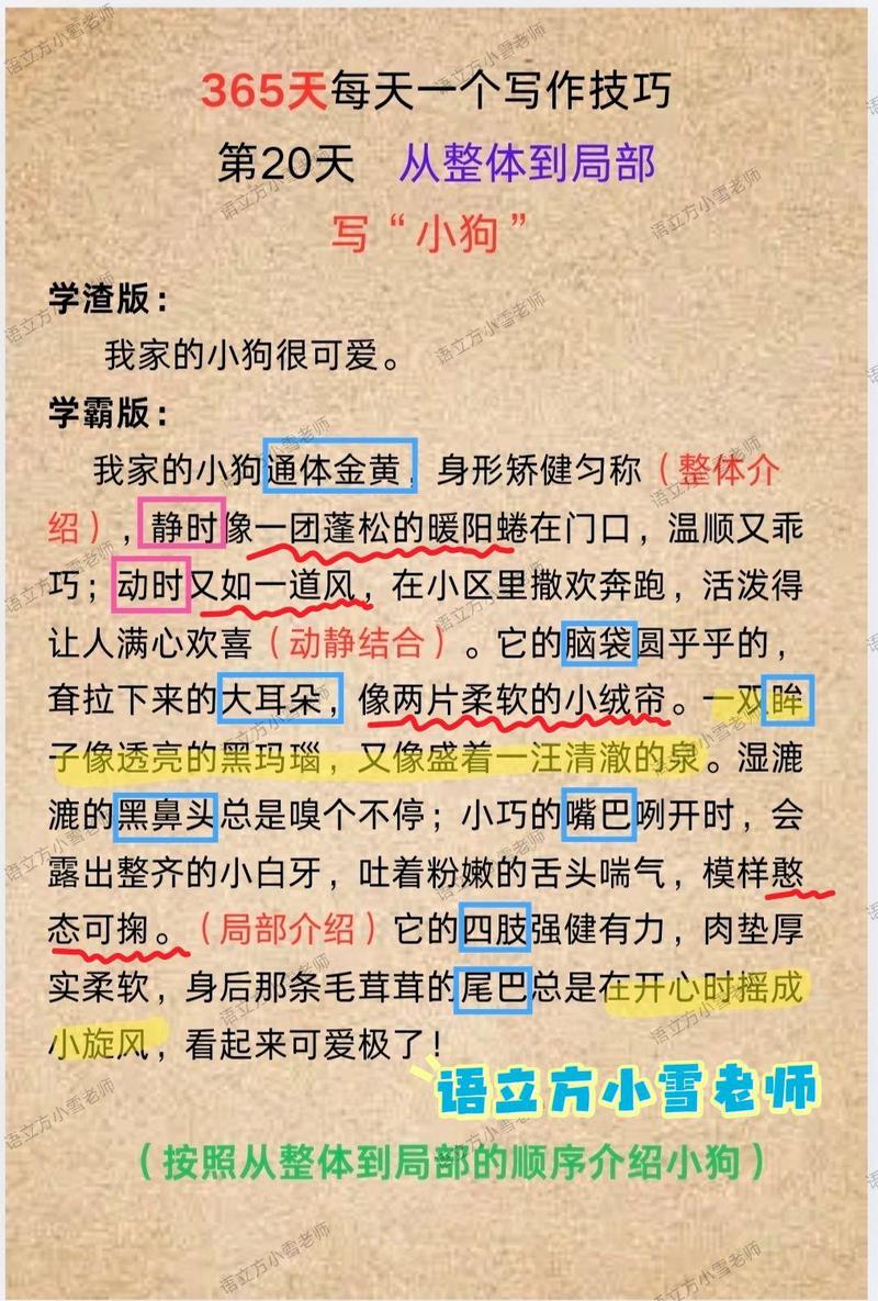 今天的小狗趣事! 今天的小狗趣事!
