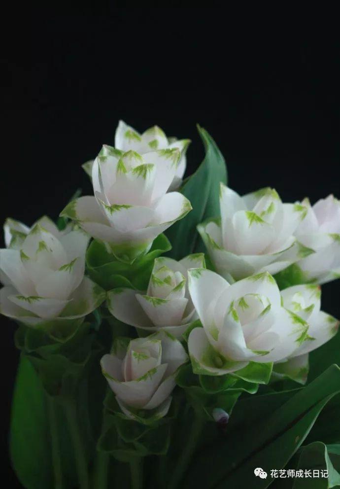 夏日池塘的悄悄话