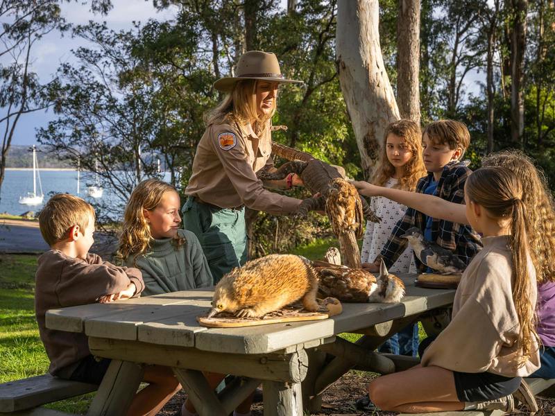 雨后的林子，像被洗过一样