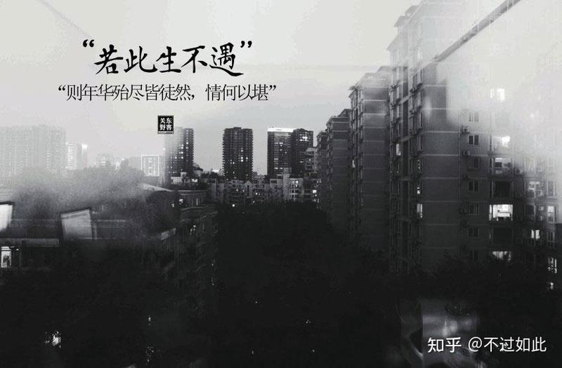 那些藏在时光里的情话，最是动人…