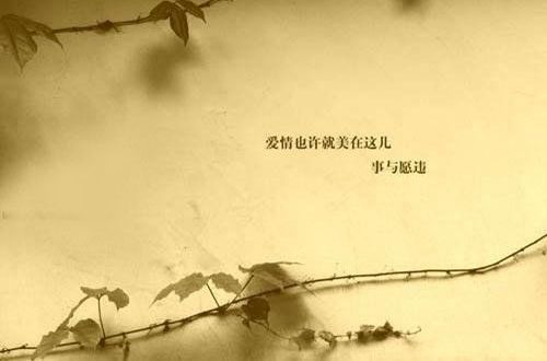 刺痛内心的情话|那些藏在温柔里的锋芒 刺痛内心的情话|那些藏在温柔里的锋芒