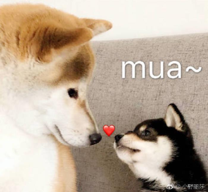 情话大全简短一句话：那些让心瞬间融化的瞬间