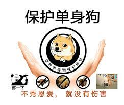 代码与心的交织：程序员的爱情诗篇