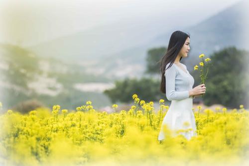 月光下的承诺—温柔的回响