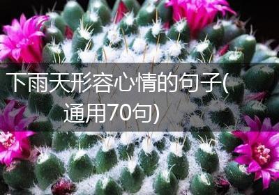 雨中的浪漫三重奏