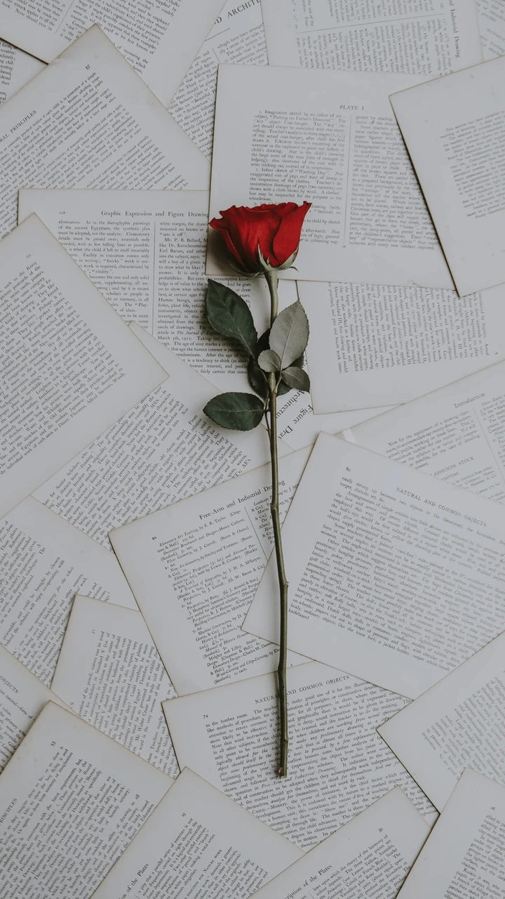 冰的短句情话|简单却动人的浪漫告白 冰的短句情话|简单却动人的浪漫告白