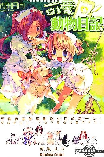 被猫咪偷吃蛋糕的下午！