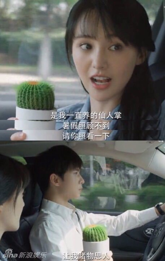 藏在日常里的情话微微甜｜那些触动心弦的温柔瞬间