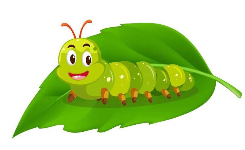 虫鸣夏日,我与昆虫的邂逅! 虫鸣夏日,我与昆虫的邂逅!