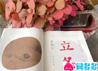 老情话短句干净丨那些最动人的爱意，简单却永恒