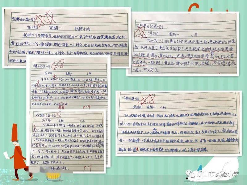 街角那棵老槐树的秘密! 街角那棵老槐树的秘密!