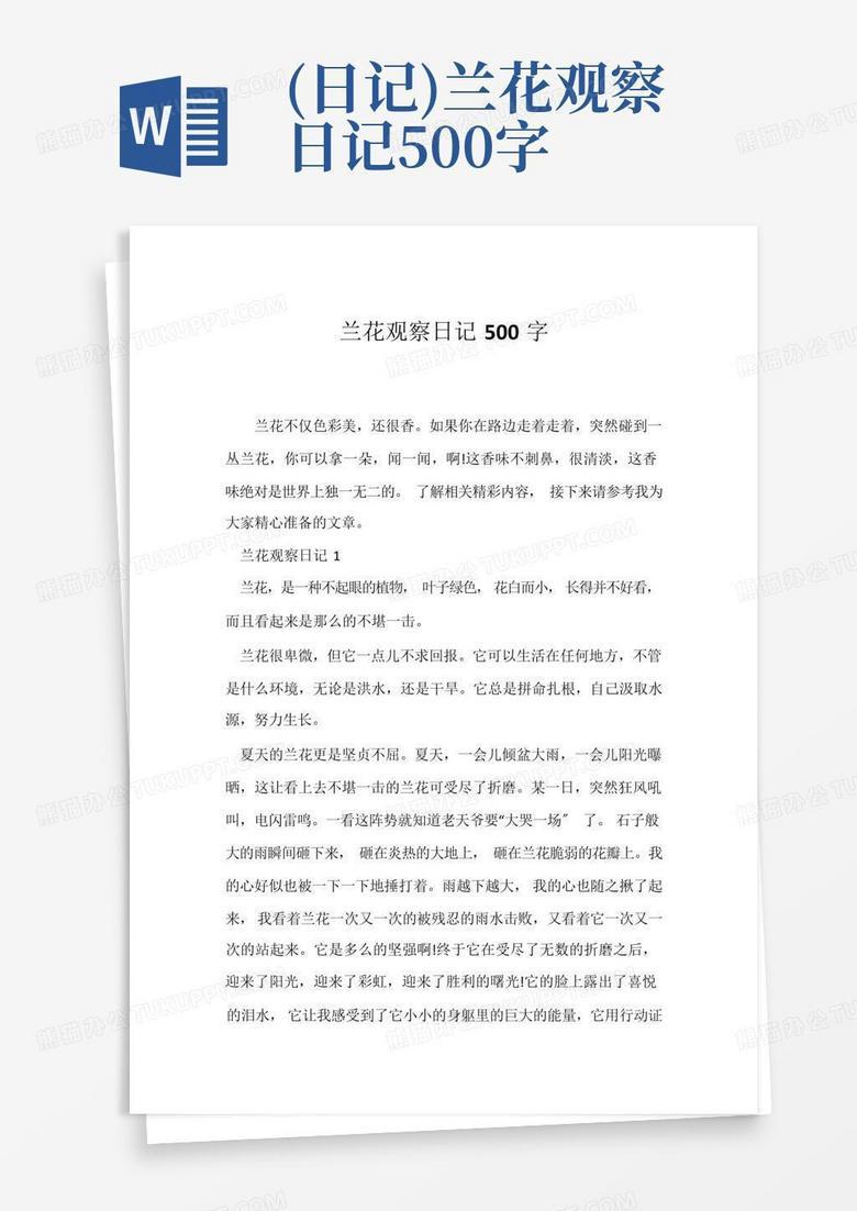 楼下那只流浪猫的50天！