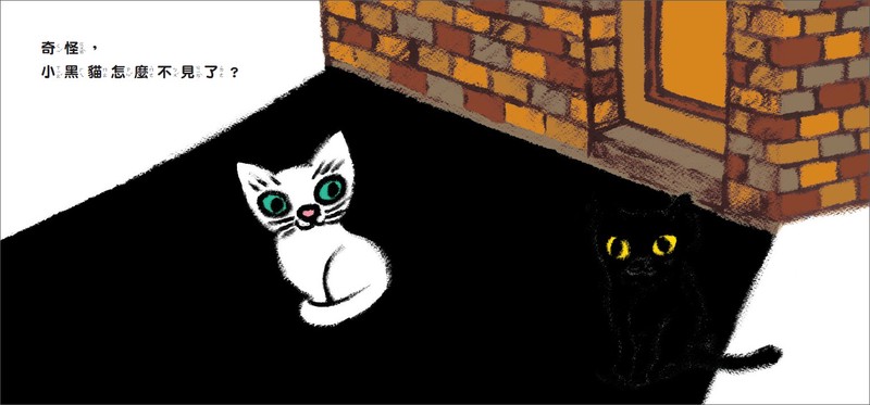 午后的阳光与小黑猫的奇妙邂逅！