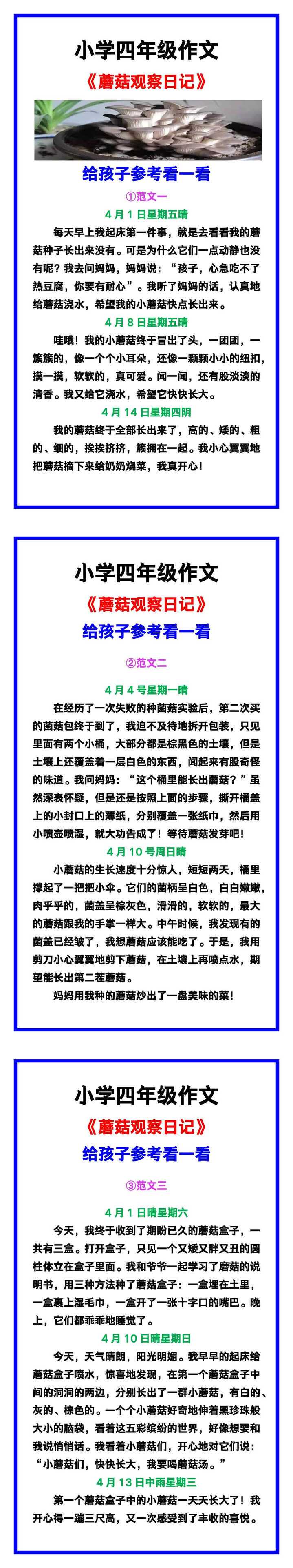 小学日记｜今天，我在学校里的小小冒险