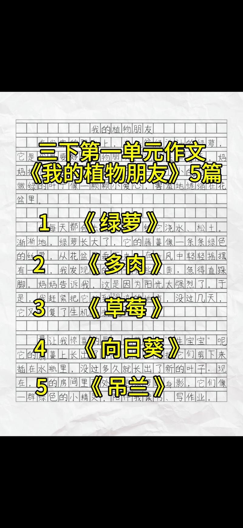 种下绿豆的第7天,它长出小芽了 种下绿豆的第7天,它长出小芽了