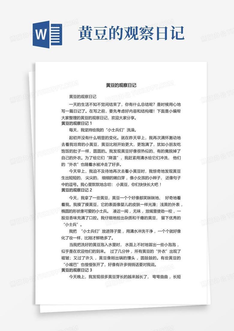 今天，我学会了观察生活的小细节！