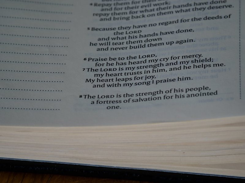 日记大全五年级—成长的足迹