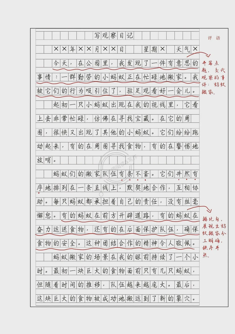 观察日记怎么写?我终于找到了方法! 观察日记怎么写?我终于找到了方法!