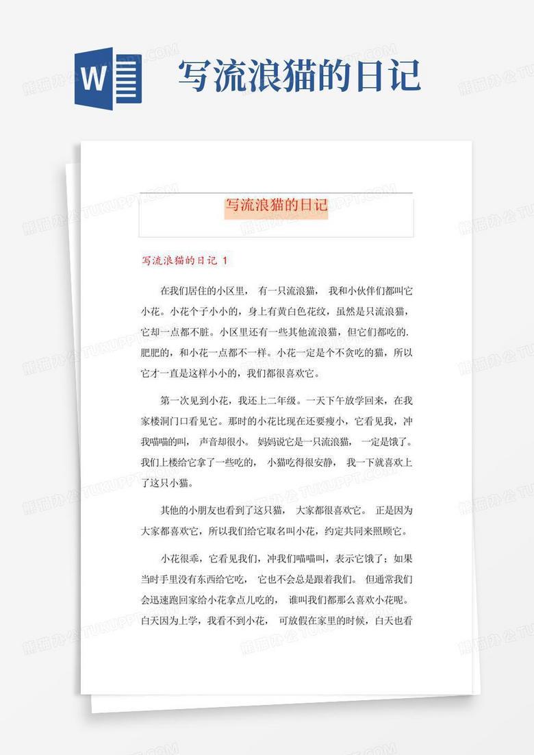 养猫日记|关于我家主子今天又“作案”的那些破事儿 养猫日记|关于我家主子今天又“作案”的那些破事儿