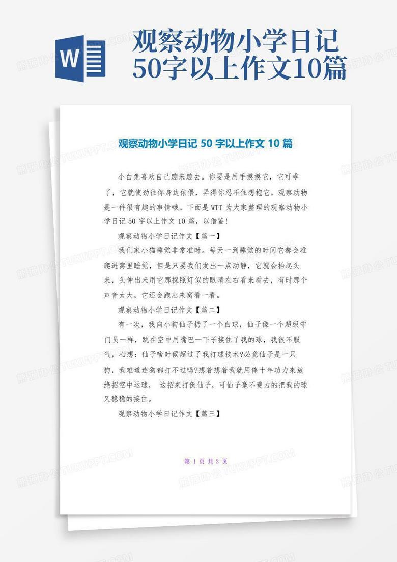 遇见一只流浪猫…