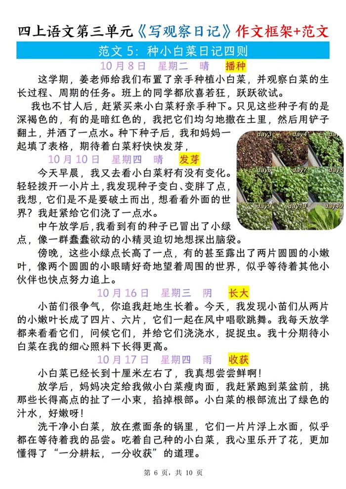 一年级观察日记丨教室里的奇妙小世界