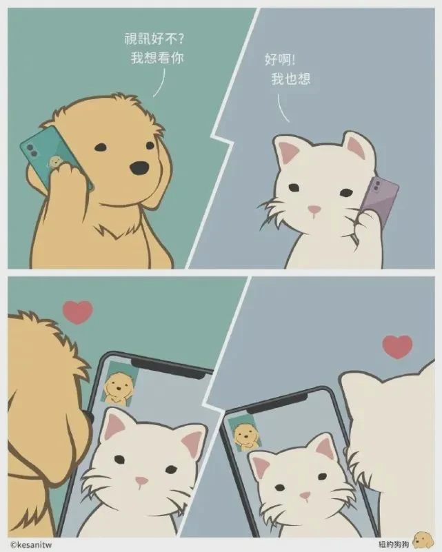 猫与狗的浪漫情话·毛茸茸的告白，治愈心灵的温柔