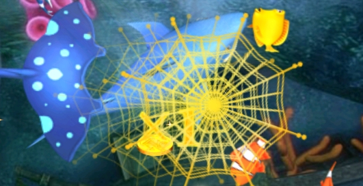 夏日午后的小确幸—捉鱼日记