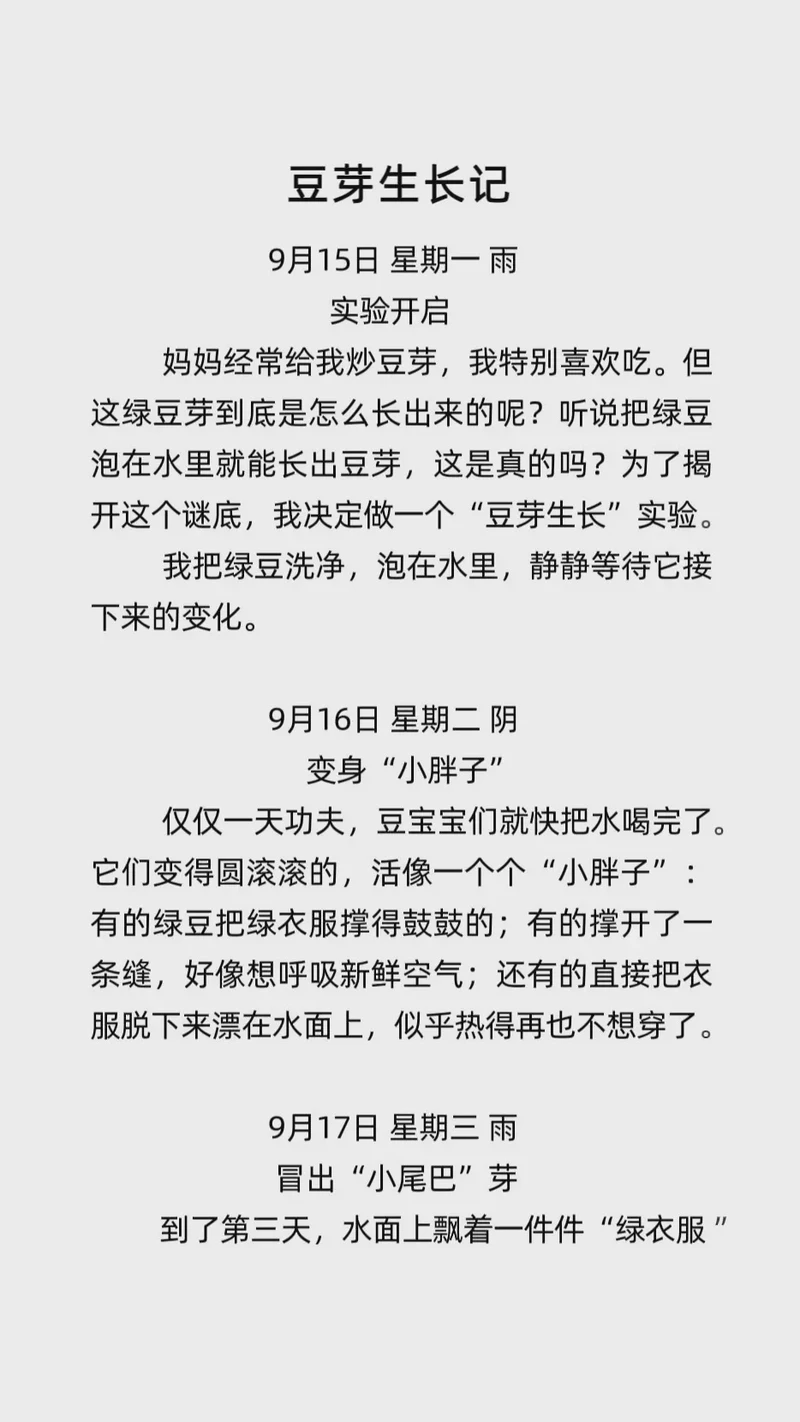 绿豆汤的奇妙旅程！