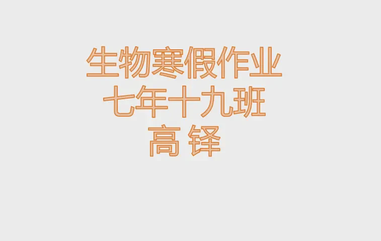 豆子的奇妙生长记？