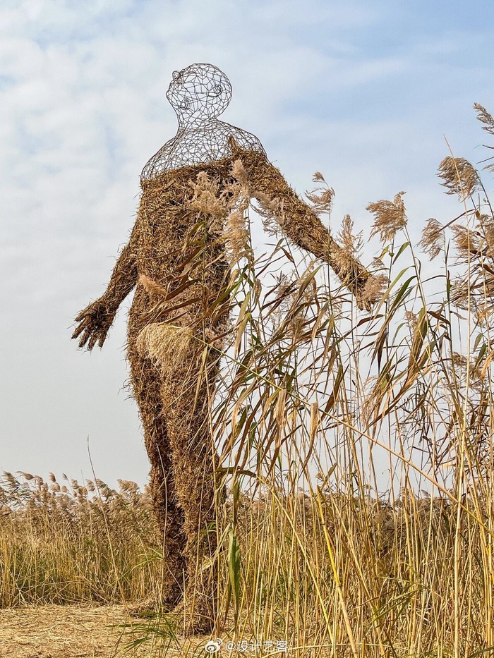 风在芦苇丛里说话！